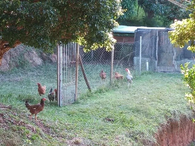 SÍTIO COM 3.8 HECTARES NA REPRESA DE SANTA BRANCA/SÃO PAULO - SANTA BRANCA - 