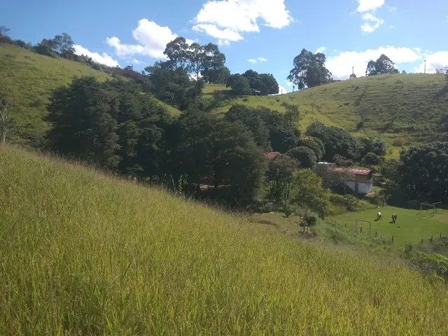 SÍTIO COM 3.8 HECTARES NA REPRESA DE SANTA BRANCA/SÃO PAULO - SANTA BRANCA - 