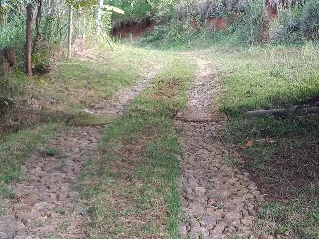 SÍTIO COM 3.8 HECTARES NA REPRESA DE SANTA BRANCA/SÃO PAULO - SANTA BRANCA - 