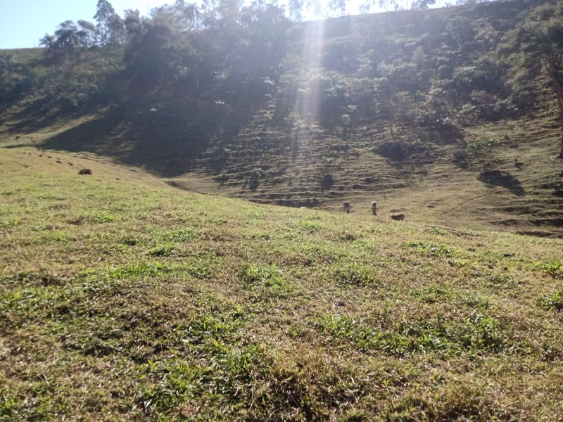 SÍTIO COM 2.68 ALQUEIRES EM SÃO JOSÉ DOS CAMPOS/SÃO PAULO - São José dos Campos - 