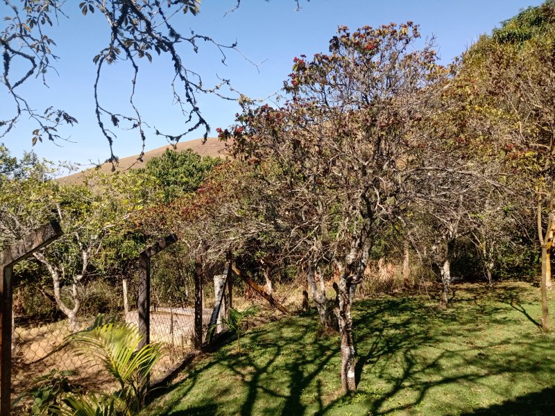 SÍTIO COM 2.68 ALQUEIRES EM SÃO JOSÉ DOS CAMPOS/SÃO PAULO - São José dos Campos - 