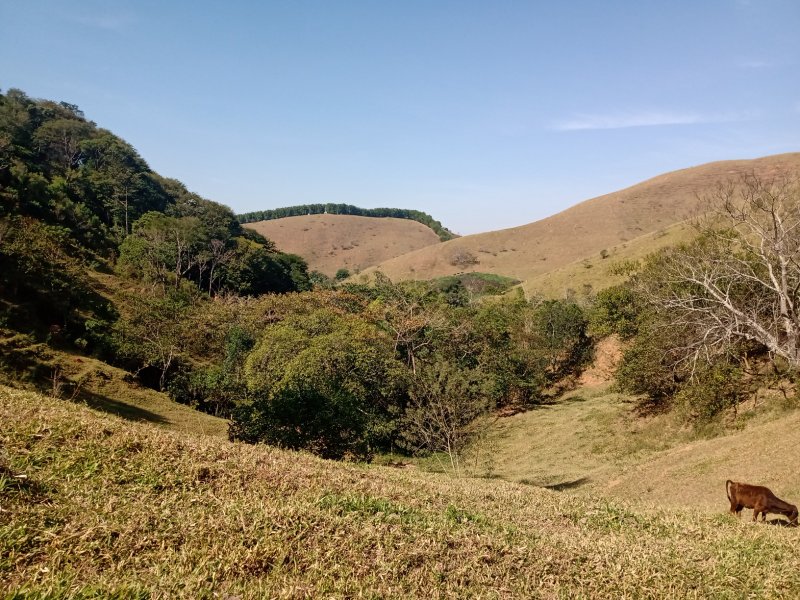 SÍTIO COM 2.68 ALQUEIRES EM SÃO JOSÉ DOS CAMPOS/SÃO PAULO - São José dos Campos - 