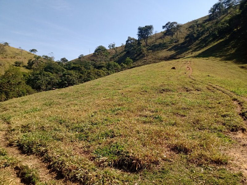 SÍTIO COM 2.68 ALQUEIRES EM SÃO JOSÉ DOS CAMPOS/SÃO PAULO - São José dos Campos - 