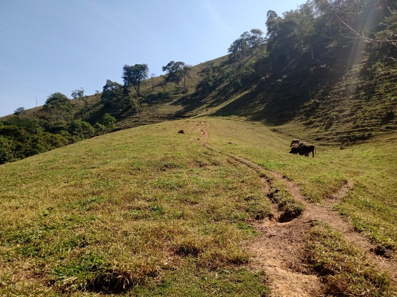 SÍTIO COM 2.68 ALQUEIRES EM SÃO JOSÉ DOS CAMPOS/SÃO PAULO - São José dos Campos - 