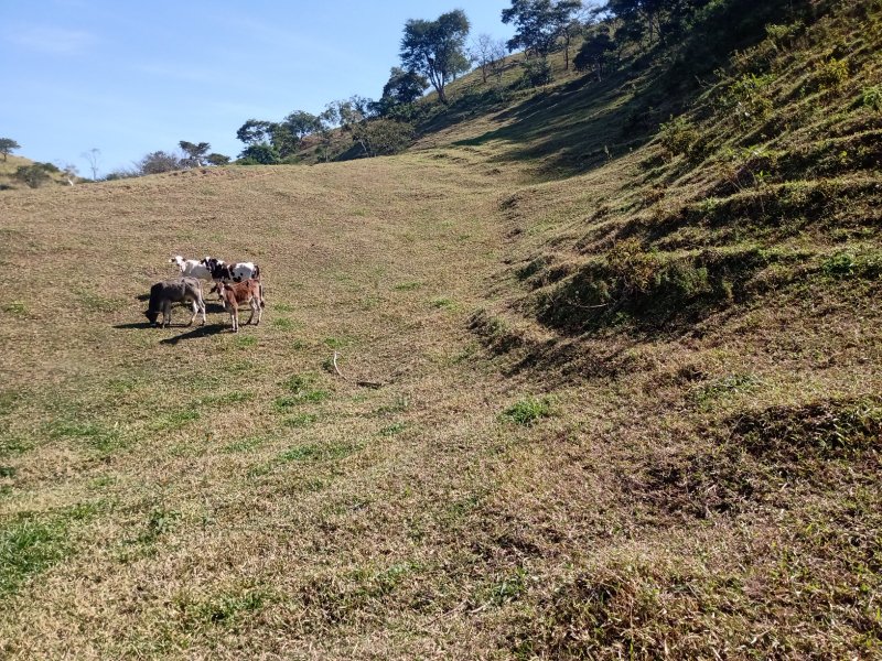 SÍTIO COM 2.68 ALQUEIRES EM SÃO JOSÉ DOS CAMPOS/SÃO PAULO - São José dos Campos - 