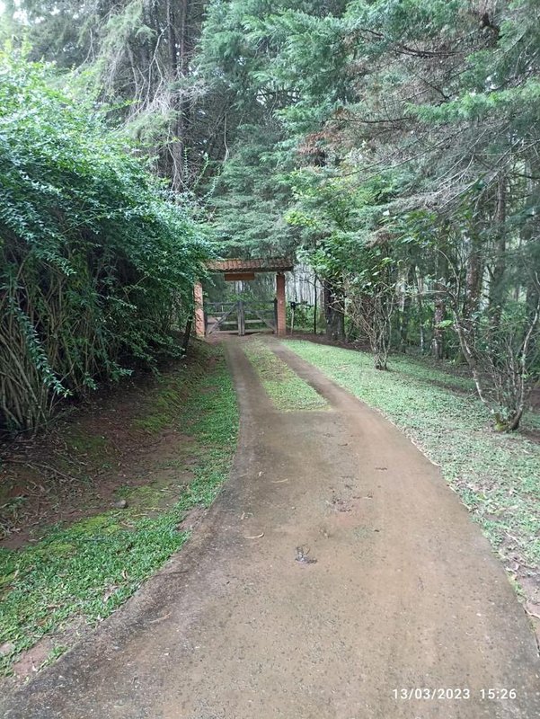 SÍTIO COM 9 ALQUEIRES EM CAMPOS DO JORDÃO/SÃO PAULO - Campos do Jordão - 