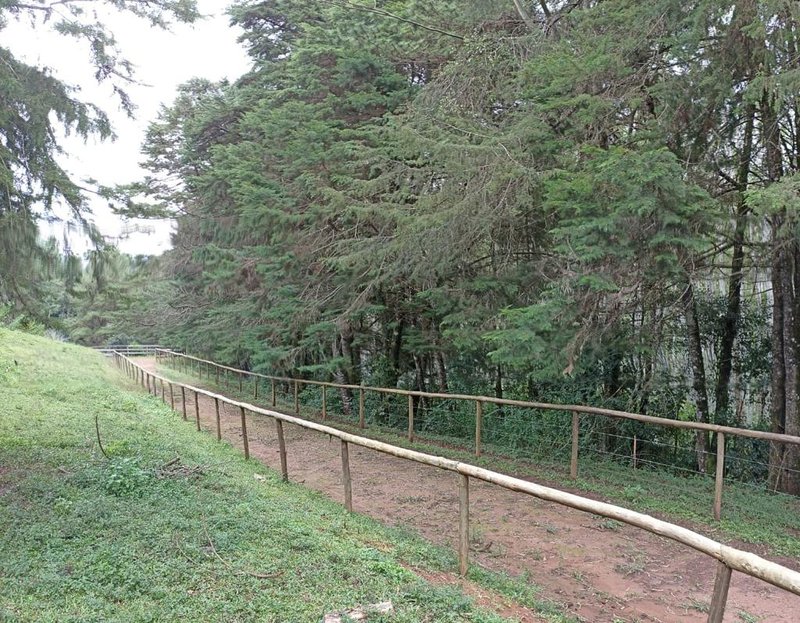 SÍTIO COM 9 ALQUEIRES EM CAMPOS DO JORDÃO/SÃO PAULO - Campos do Jordão - 