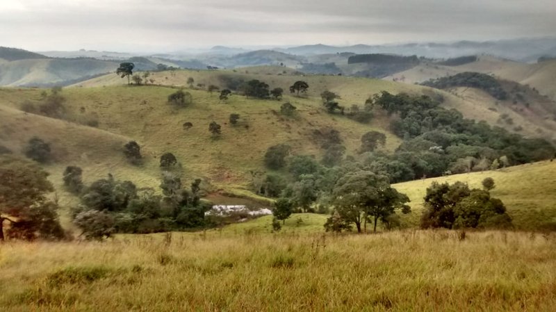 SÍTIO COM 9 ALQUEIRES EM CAMPOS DO JORDÃO/SÃO PAULO - Campos do Jordão - 