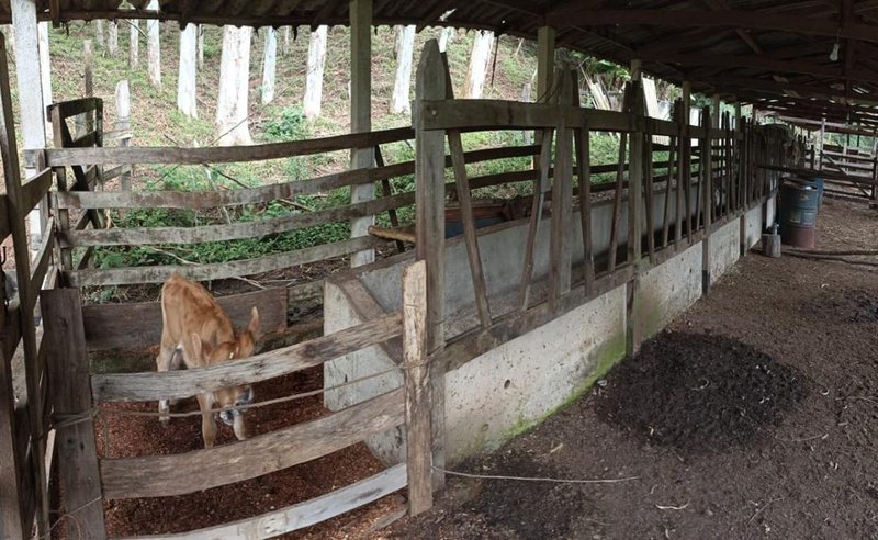SÍTIO COM 9 ALQUEIRES EM CAMPOS DO JORDÃO/SÃO PAULO - Campos do Jordão - 