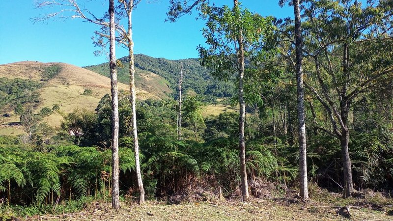 SÍTIO COM 2.5 ALQUEIRES EM SÃO FRANCISCO XAVIER/SÃO PAULO - SAO FRANCISCO - 