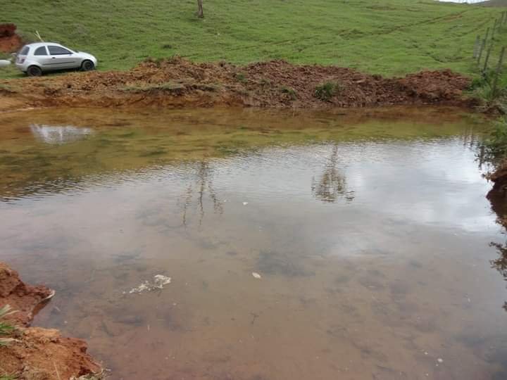 FAZENDA DE 40 ALQUEIRES NA REGIÃO DE LAGOINHA/SÃO PAULO - LAGOINHA - 