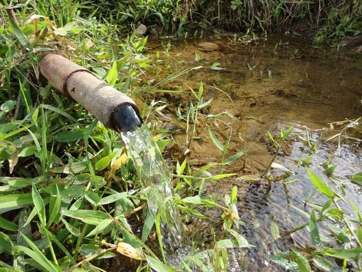 FAZENDA DE 40 ALQUEIRES NA REGIÃO DE LAGOINHA/SÃO PAULO - LAGOINHA - 