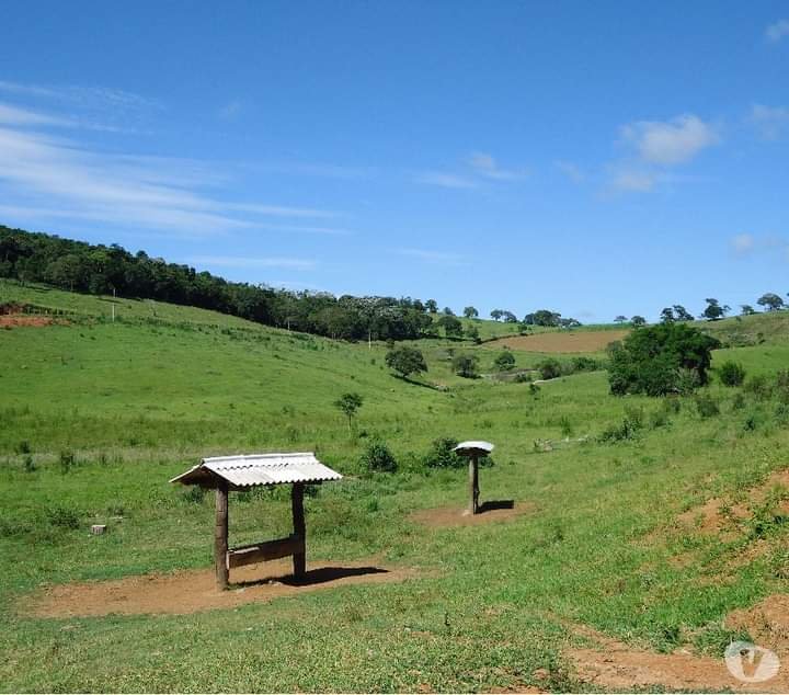 FAZENDA DE 40 ALQUEIRES NA REGIÃO DE LAGOINHA/SÃO PAULO - LAGOINHA - 