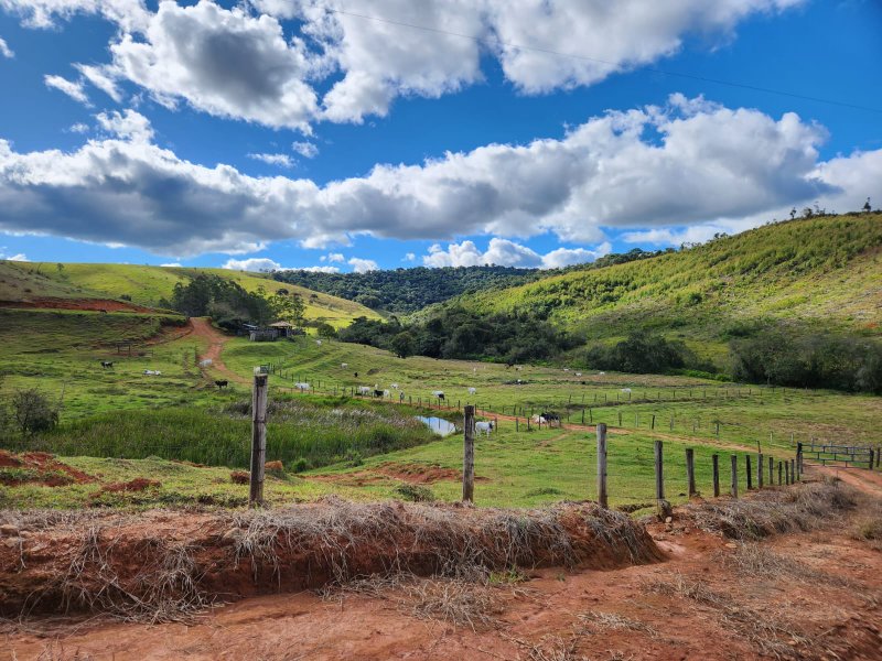 FAZENDA DE 40 ALQUEIRES NA REGIÃO DE LAGOINHA/SÃO PAULO - LAGOINHA - 