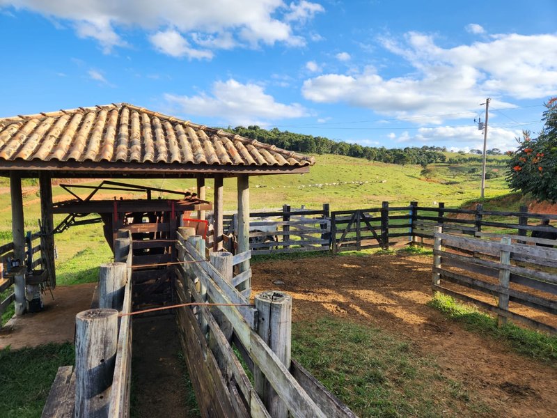FAZENDA DE 40 ALQUEIRES NA REGIÃO DE LAGOINHA/SÃO PAULO - LAGOINHA - 