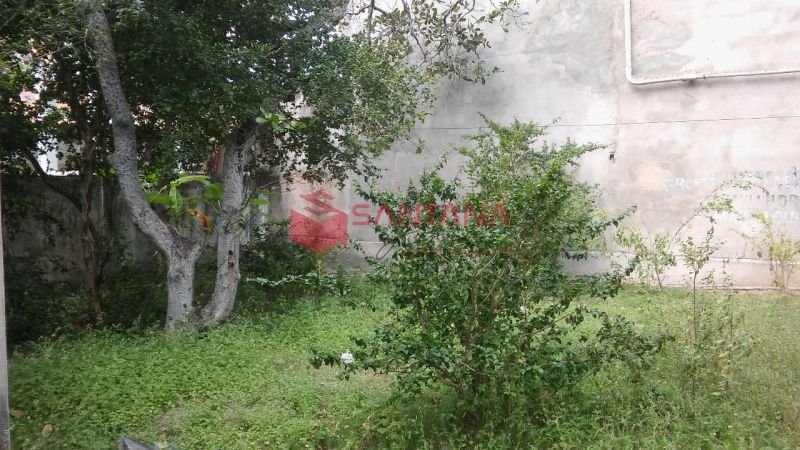 Casa 3 dormitórios 1230m² 2 vagas Ipitanga Lauro de Freitas/BA (INDISPONÍVEL) Avenida Amarílio Thiago dos Santos Lauro de Freitas - 