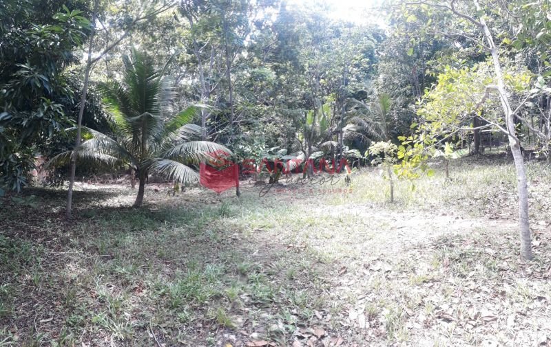 Terreno Recreio Ipitanga Lauro de Freitas/BA (INDISPONÍVEL) Rua 15 de Janeiro Lauro de Freitas - 