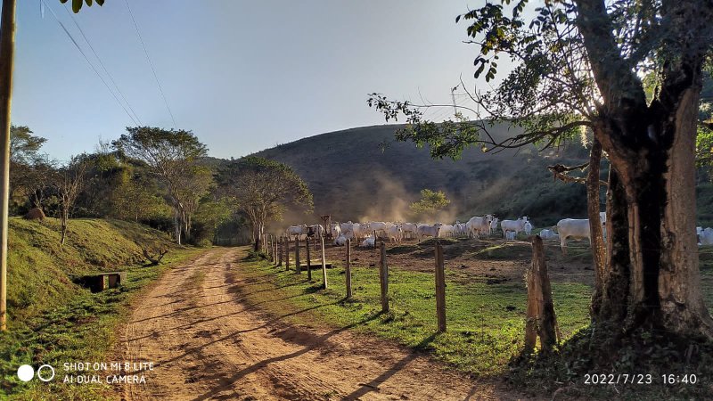 FAZENDA COM 106 ALQUEIRES NA REGIÃO DE SÃO JOSÉ DOS CAMPOS/SÃO PAULO - São José dos Campos - 