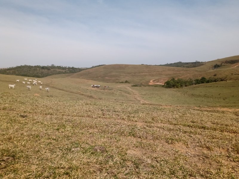FAZENDA COM 106 ALQUEIRES EM SÃO JOSÉ DOS CAMPOS/SÃO PAULO - São José dos Campos - 