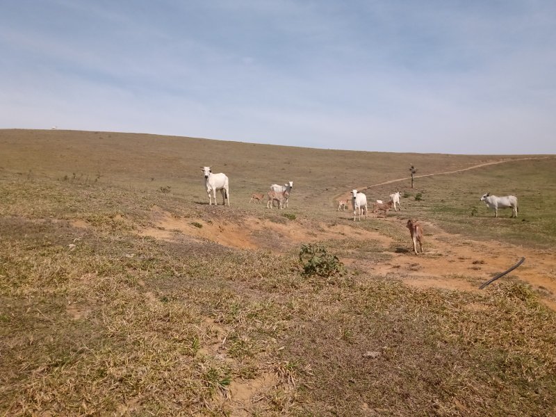 FAZENDA COM 106 ALQUEIRES EM SÃO JOSÉ DOS CAMPOS/SÃO PAULO - São José dos Campos - 