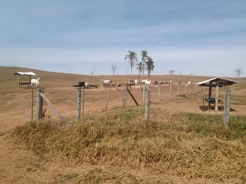 FAZENDA COM 106 ALQUEIRES EM SÃO JOSÉ DOS CAMPOS/SÃO PAULO - São José dos Campos - 