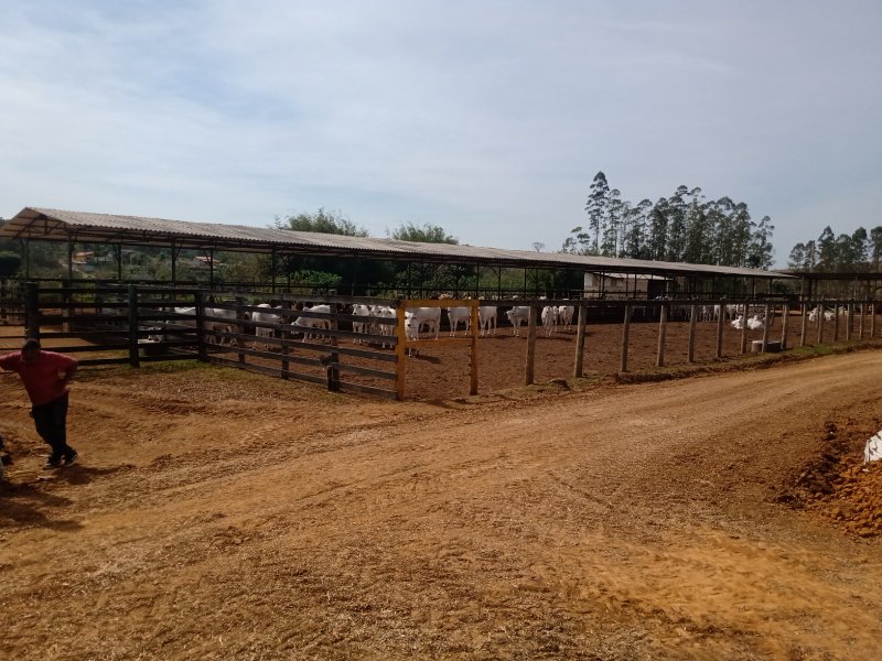 FAZENDA COM 106 ALQUEIRES EM SÃO JOSÉ DOS CAMPOS/SÃO PAULO - São José dos Campos - 