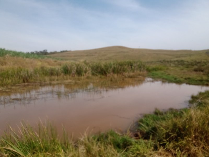 FAZENDA COM 106 ALQUEIRES EM SÃO JOSÉ DOS CAMPOS/SÃO PAULO - São José dos Campos - 
