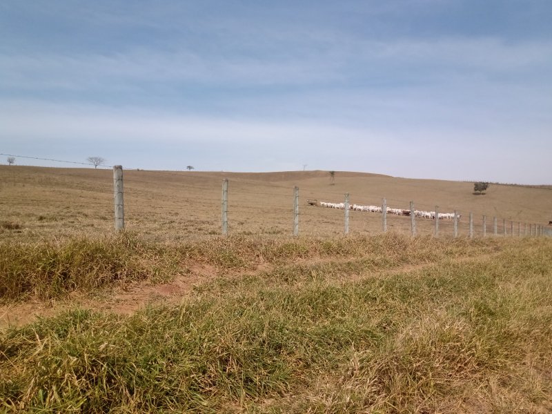 FAZENDA COM 106 ALQUEIRES EM SÃO JOSÉ DOS CAMPOS/SÃO PAULO - São José dos Campos - 