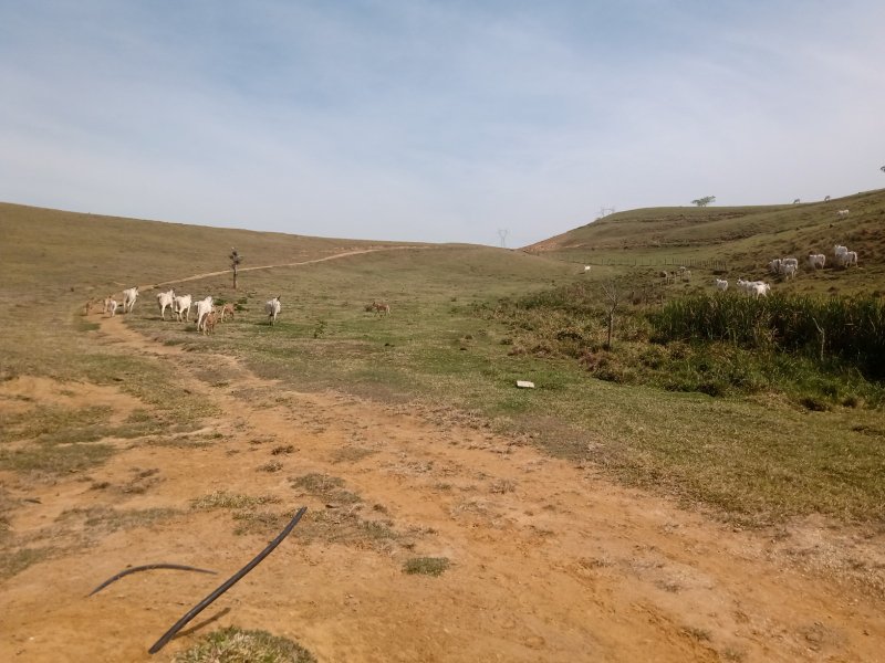 FAZENDA COM 106 ALQUEIRES EM SÃO JOSÉ DOS CAMPOS/SÃO PAULO - São José dos Campos - 