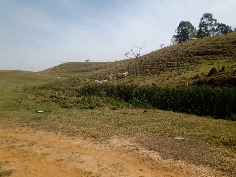 FAZENDA COM 106 ALQUEIRES EM SÃO JOSÉ DOS CAMPOS/SÃO PAULO - São José dos Campos - 