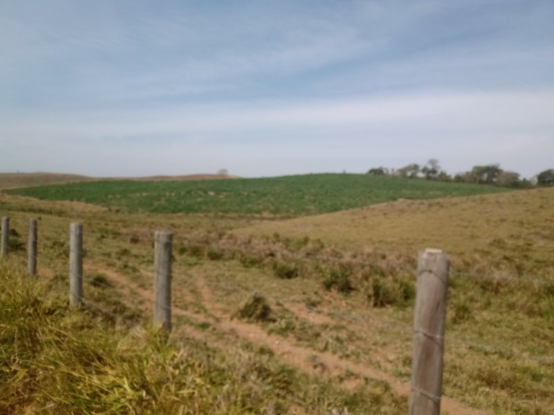 FAZENDA COM 106 ALQUEIRES EM SÃO JOSÉ DOS CAMPOS/SÃO PAULO - São José dos Campos - 