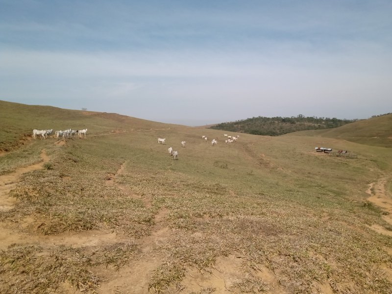 FAZENDA COM 106 ALQUEIRES EM SÃO JOSÉ DOS CAMPOS/SÃO PAULO - São José dos Campos - 