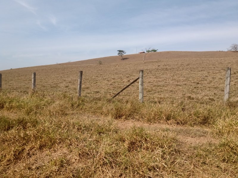 FAZENDA COM 106 ALQUEIRES EM SÃO JOSÉ DOS CAMPOS/SÃO PAULO - São José dos Campos - 