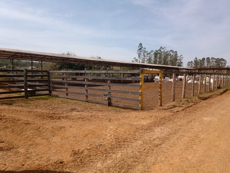 FAZENDA COM 106 ALQUEIRES EM SÃO JOSÉ DOS CAMPOS/SÃO PAULO - São José dos Campos - 