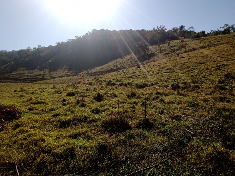 ÁREA RURAL DE 37 ALQUEIRES EM PARAIBUNA/SÃO PAULO - Paraibuna - 