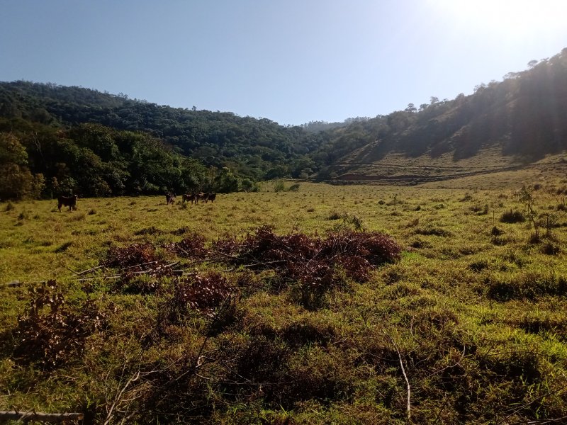 ÁREA RURAL DE 37 ALQUEIRES EM PARAIBUNA/SÃO PAULO - Paraibuna - 