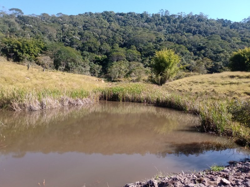 ÁREA RURAL DE 37 ALQUEIRES EM PARAIBUNA/SÃO PAULO - Paraibuna - 