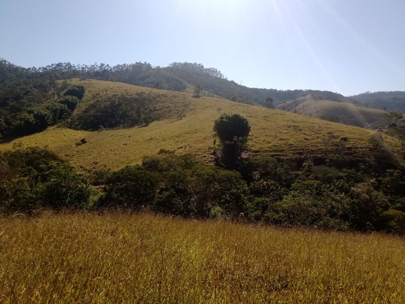 ÁREA RURAL DE 37 ALQUEIRES EM PARAIBUNA/SÃO PAULO - Paraibuna - 