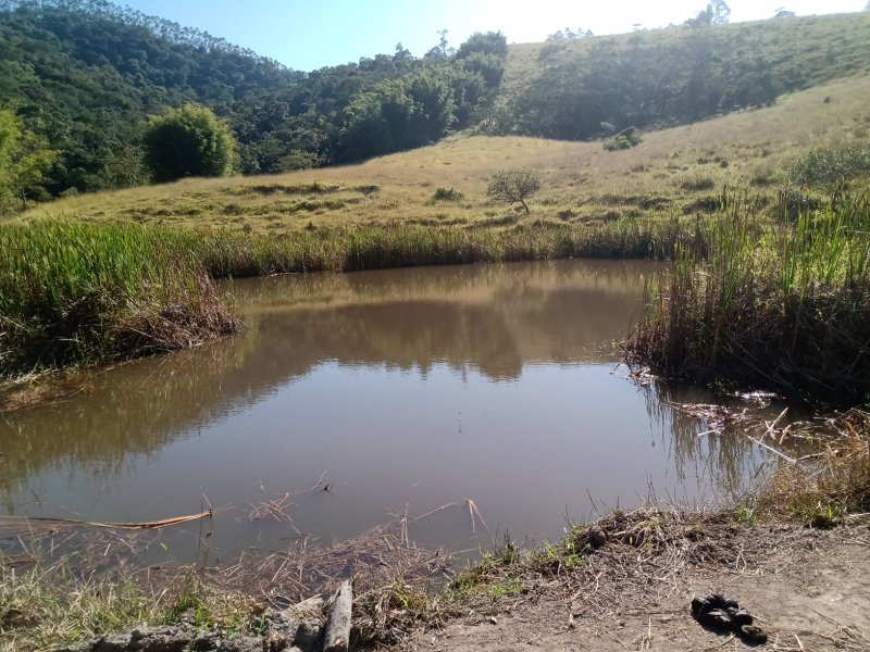 ÁREA RURAL DE 37 ALQUEIRES EM PARAIBUNA/SÃO PAULO - Paraibuna - 
