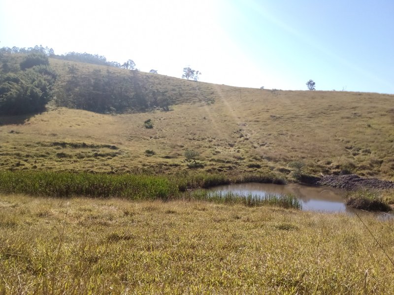ÁREA RURAL DE 37 ALQUEIRES EM PARAIBUNA/SÃO PAULO - Paraibuna - 