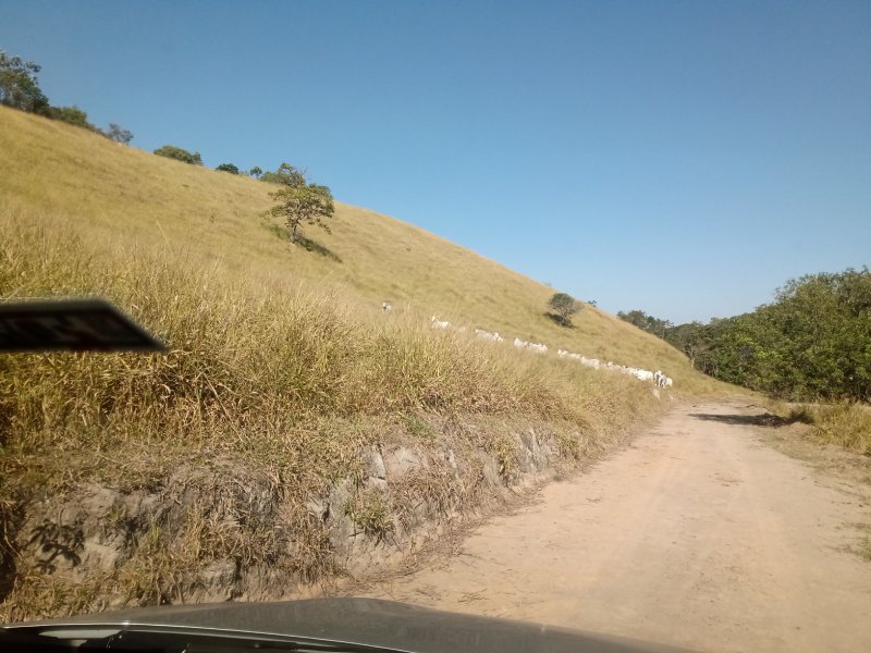 ÁREA RURAL DE 37 ALQUEIRES EM PARAIBUNA/SÃO PAULO - Paraibuna - 