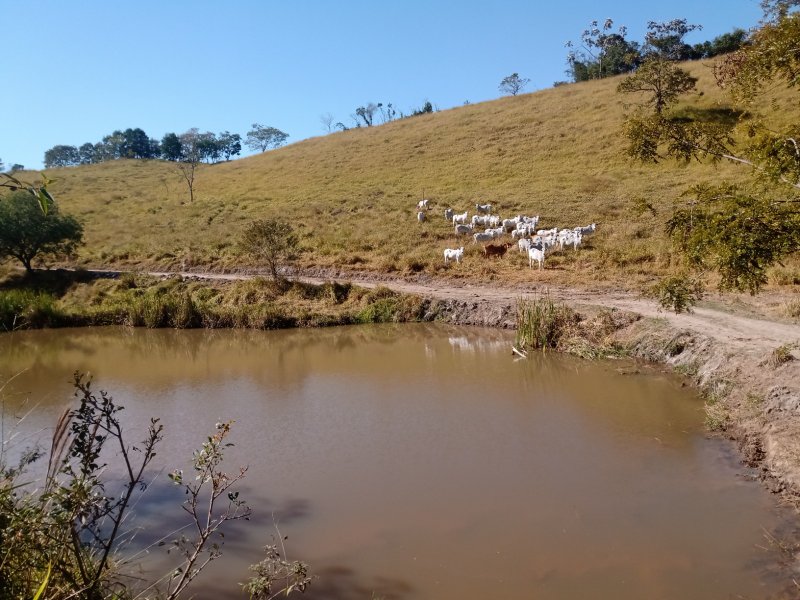 ÁREA RURAL DE 37 ALQUEIRES EM PARAIBUNA/SÃO PAULO - Paraibuna - 