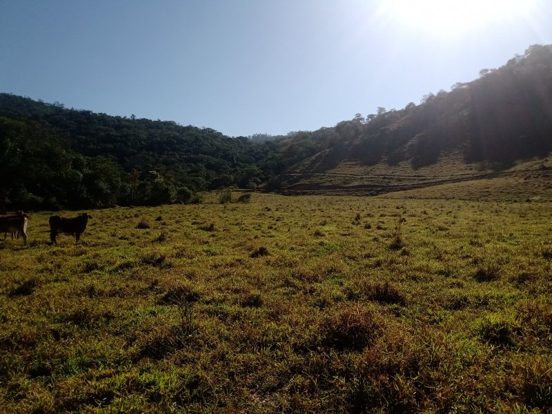 ÁREA RURAL DE 37 ALQUEIRES EM PARAIBUNA/SÃO PAULO - Paraibuna - 