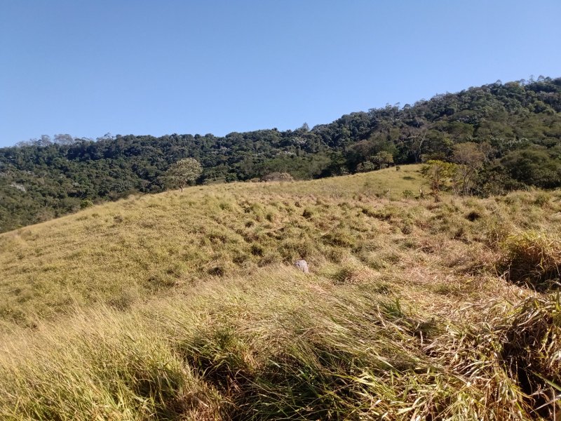 ÁREA RURAL DE 37 ALQUEIRES EM PARAIBUNA/SÃO PAULO - Paraibuna - 