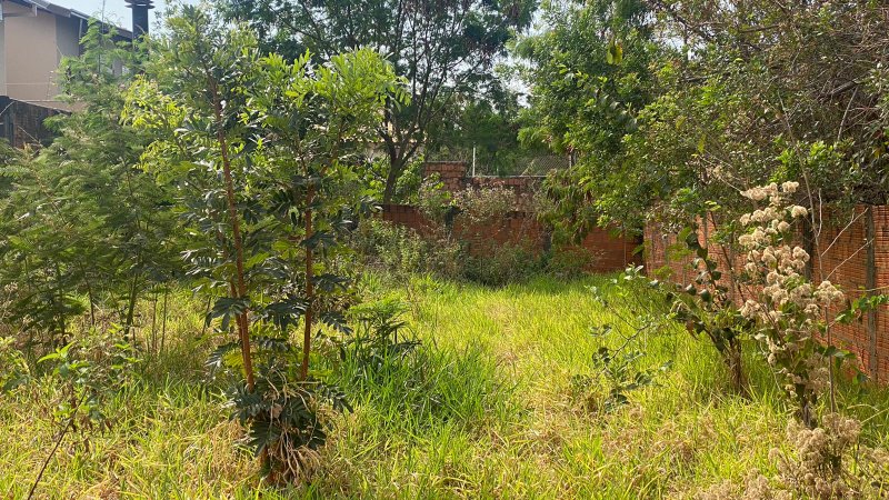Seu imóvel comercial no melhor ponto! Avenida Bom Pastor Campo Grande - 