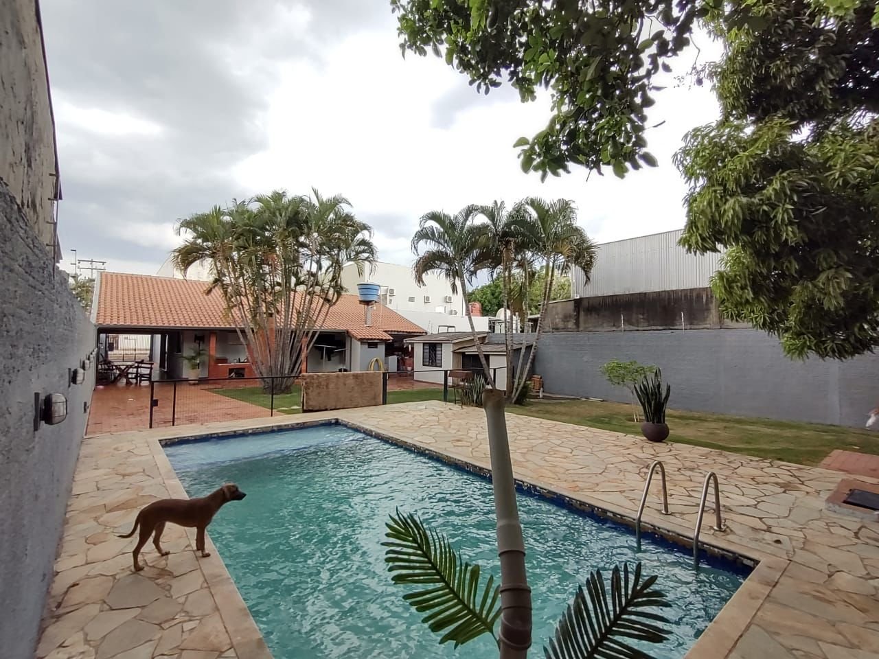 Prédio Inteiro à venda com 3 quartos, 490m² - Foto 7