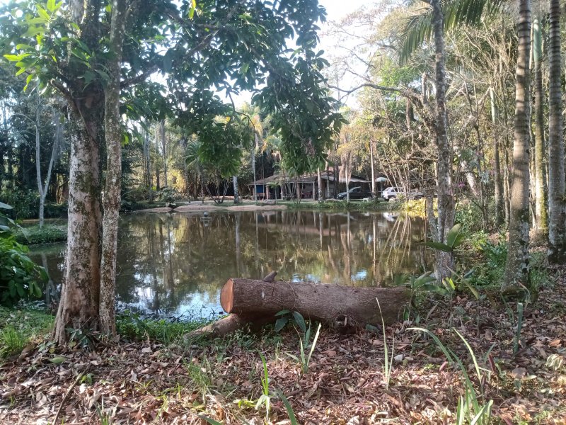 SÍTIO COM 6 ALQUEIRES EM CAÇAPAVA/SÃO PAULO - Caçapava - 
