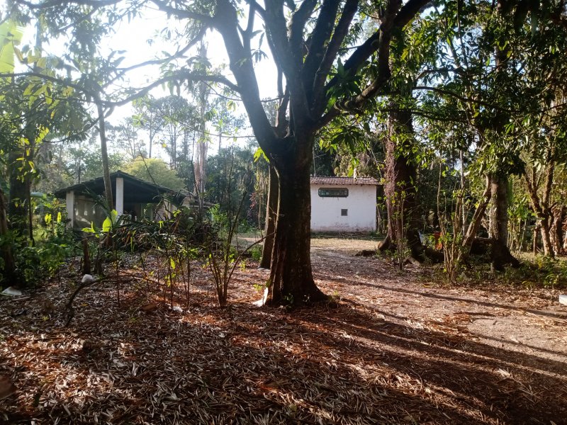 SÍTIO COM 6 ALQUEIRES EM CAÇAPAVA/SÃO PAULO - Caçapava - 
