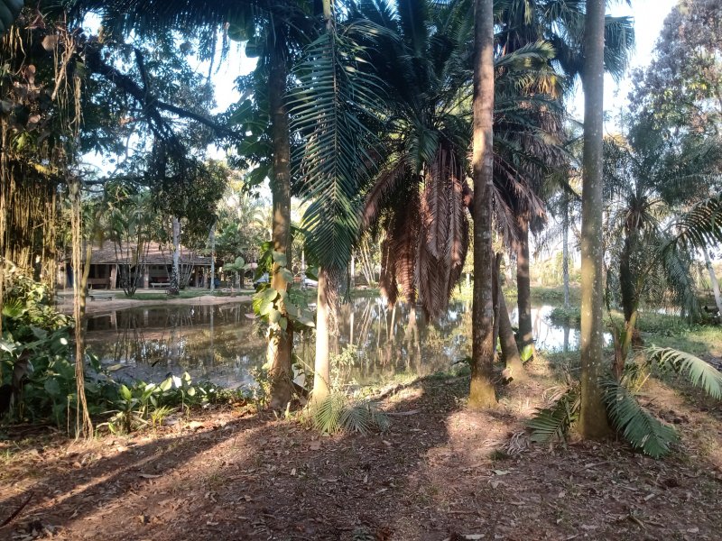 SÍTIO COM 6 ALQUEIRES EM CAÇAPAVA/SÃO PAULO - Caçapava - 