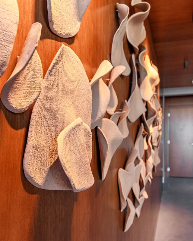 Apartamentos Nature Rua Cruzeiro do Sul Torres - 
